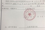 浮力影院国产限制,探索限制与创新的边界